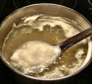 www.thevegfusion.com